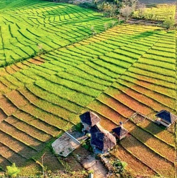 Tado Homestay Limbung Buitenkant foto